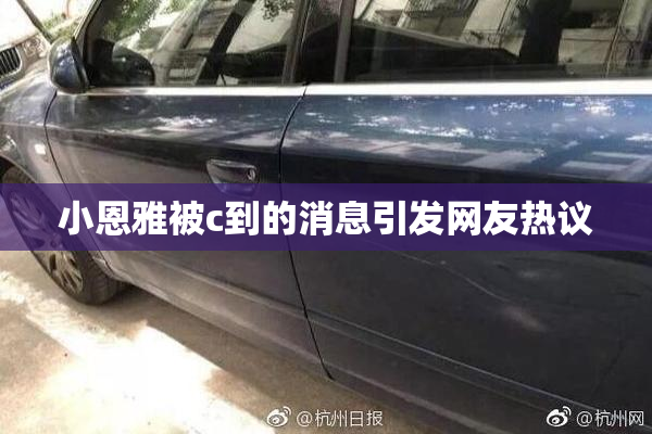 小恩雅被c到的消息引发网友热议