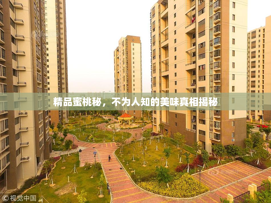 精品蜜桃秘，不为人知的美味真相揭秘