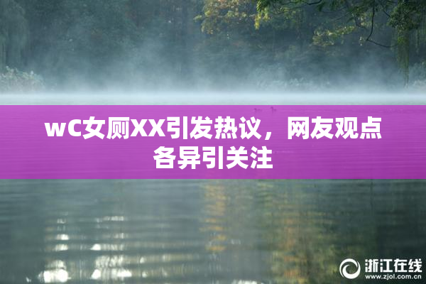 wC女厕XX引发热议，网友观点各异引关注