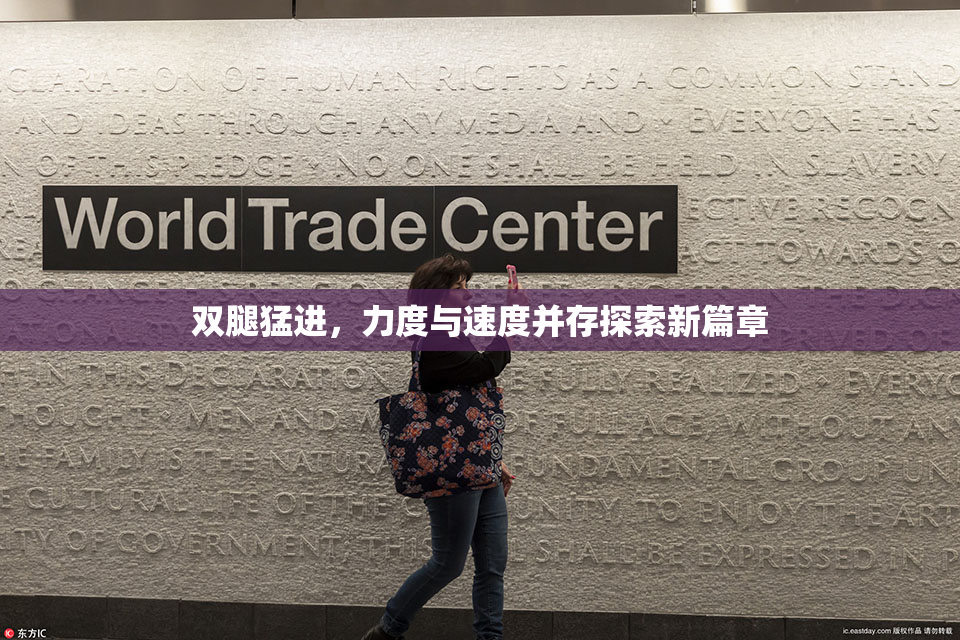 双腿猛进，力度与速度并存探索新篇章