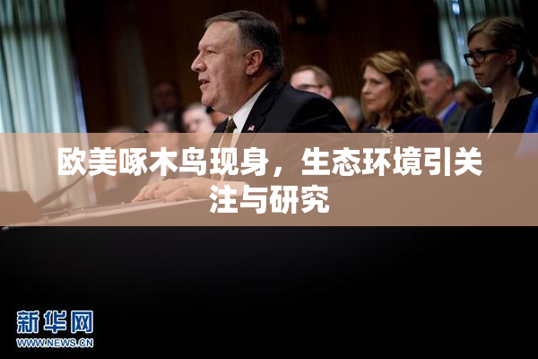 欧美啄木鸟现身，生态环境引关注与研究