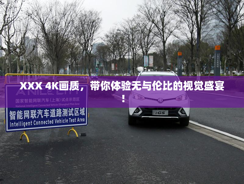 XXX 4K画质，带你体验无与伦比的视觉盛宴！