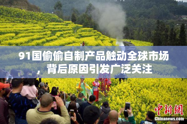 91国偷偷自制产品触动全球市场，背后原因引发广泛关注