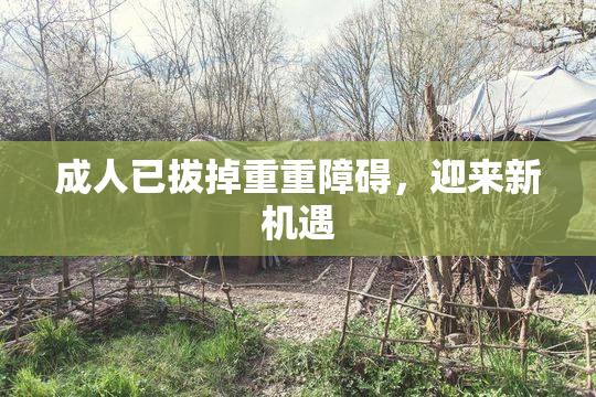 成人已拔掉重重障碍，迎来新机遇