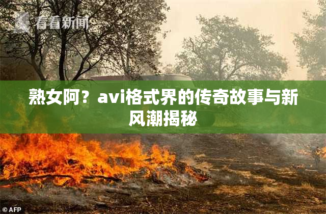 熟女阿？avi格式界的传奇故事与新风潮揭秘