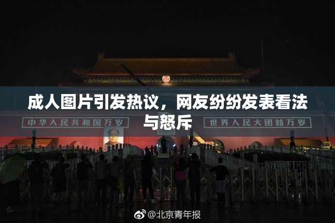 成人图片引发热议，网友纷纷发表看法与怒斥