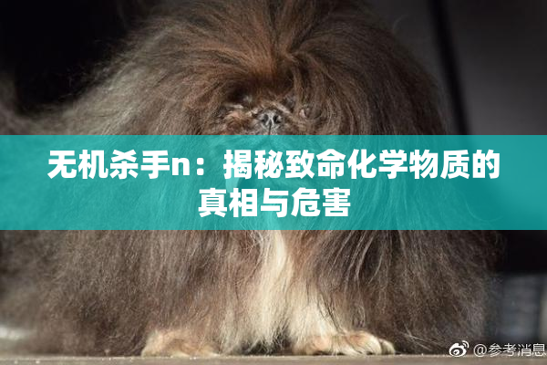 无机杀手n：揭秘致命化学物质的真相与危害