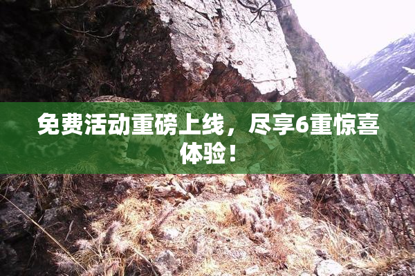 免费活动重磅上线，尽享6重惊喜体验！