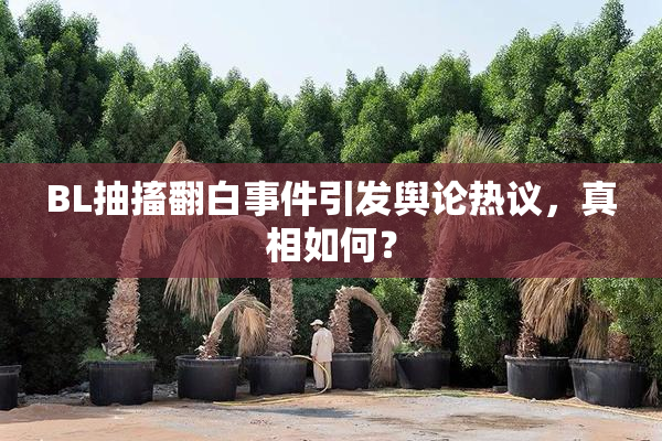 BL抽搐翻白事件引发舆论热议，真相如何？