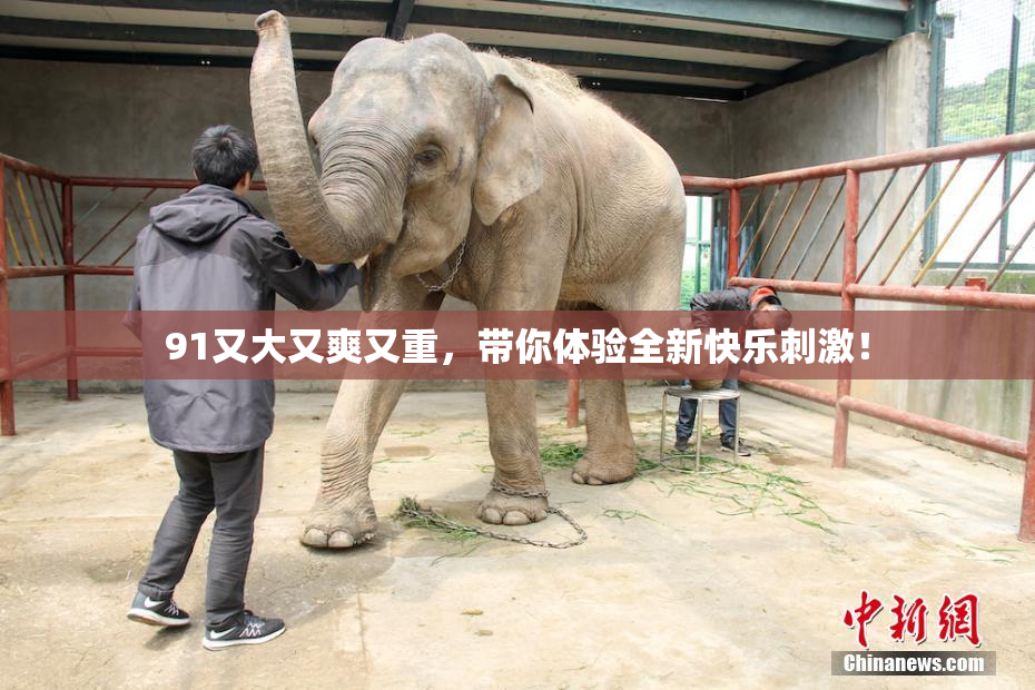91又大又爽又重，带你体验全新快乐刺激！