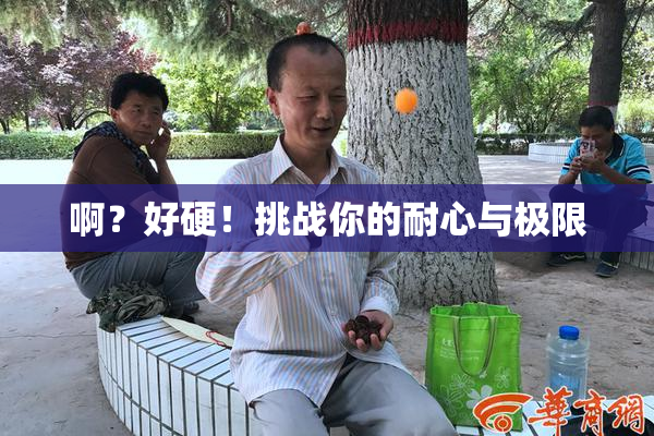 啊？好硬！挑战你的耐心与极限