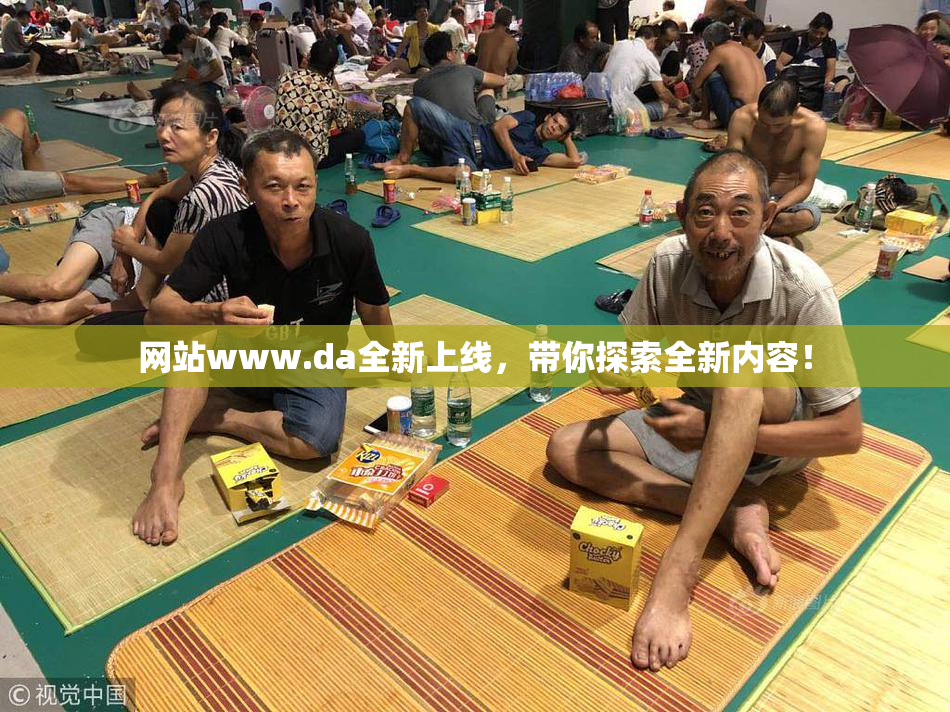 网站www.da全新上线，带你探索全新内容！