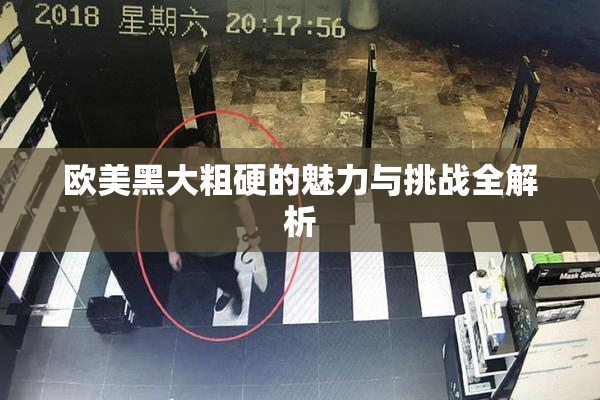 欧美黑大粗硬的魅力与挑战全解析