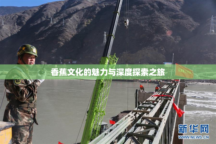 香蕉文化的魅力与深度探索之旅