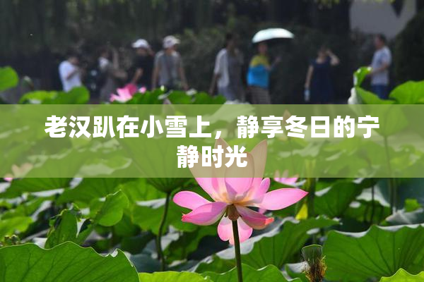 老汉趴在小雪上，静享冬日的宁静时光
