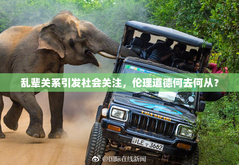 乱辈关系引发社会关注，伦理道德何去何从？