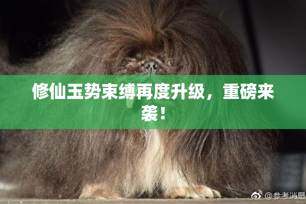 修仙玉势束缚再度升级，重磅来袭！