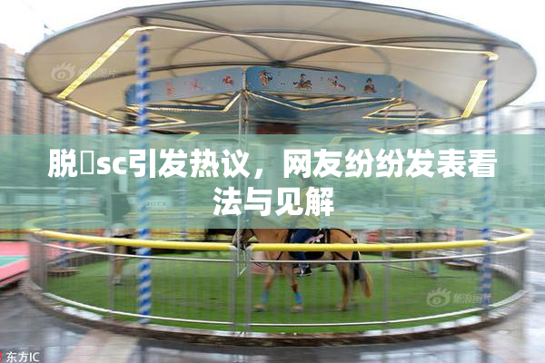 脱糞sc引发热议，网友纷纷发表看法与见解