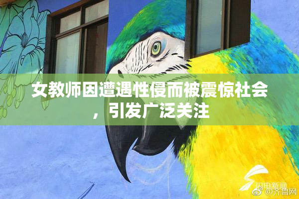 女教师因遭遇性侵而被震惊社会，引发广泛关注
