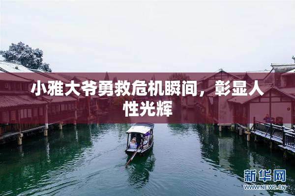 小雅大爷勇救危机瞬间，彰显人性光辉