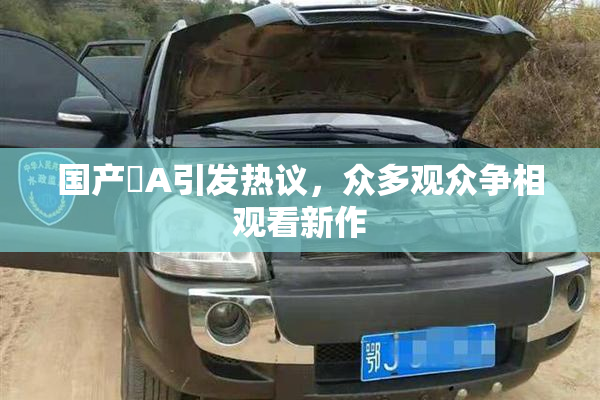 国产婬A引发热议，众多观众争相观看新作