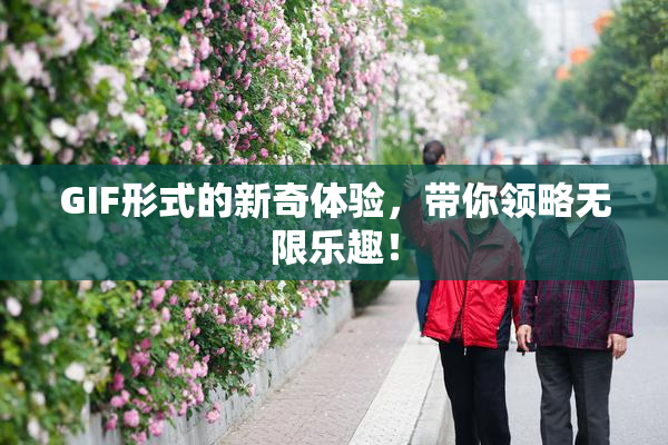 GIF形式的新奇体验，带你领略无限乐趣！