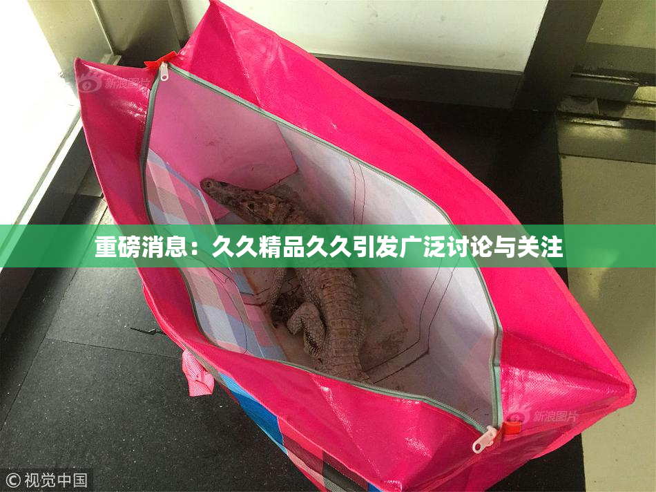 重磅消息：久久精品久久引发广泛讨论与关注