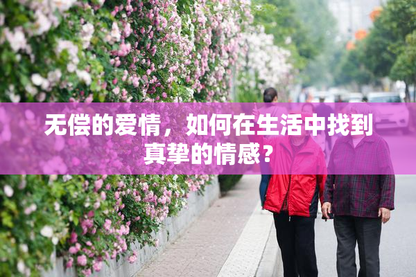 无偿的爱情，如何在生活中找到真挚的情感？