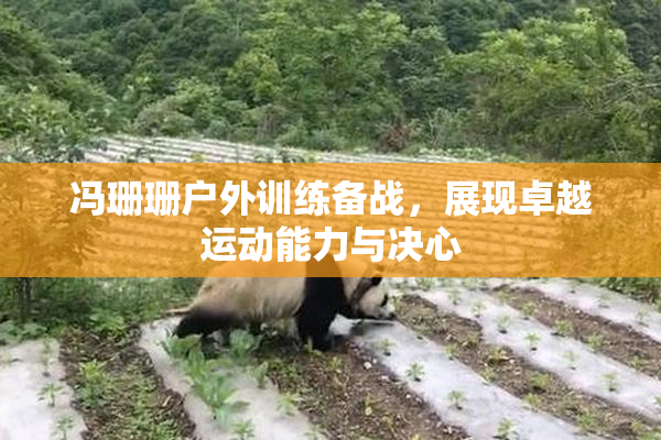 冯珊珊户外训练备战，展现卓越运动能力与决心