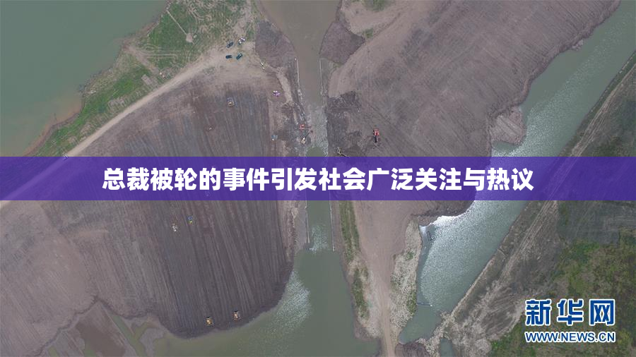 总裁被轮的事件引发社会广泛关注与热议
