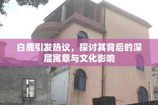 白鹿引发热议，探讨其背后的深层寓意与文化影响