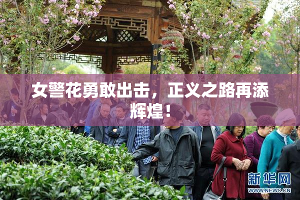 女警花勇敢出击，正义之路再添辉煌！