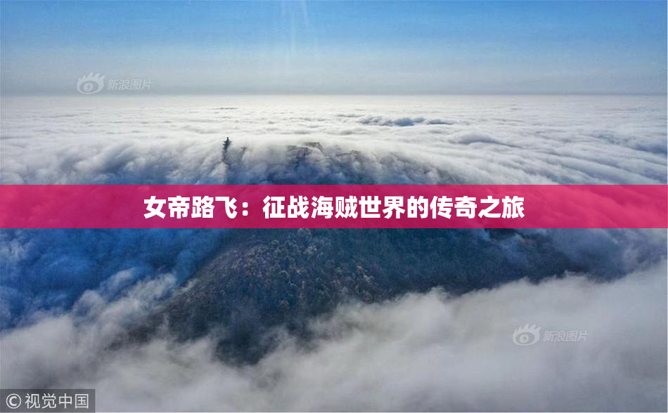 女帝路飞：征战海贼世界的传奇之旅