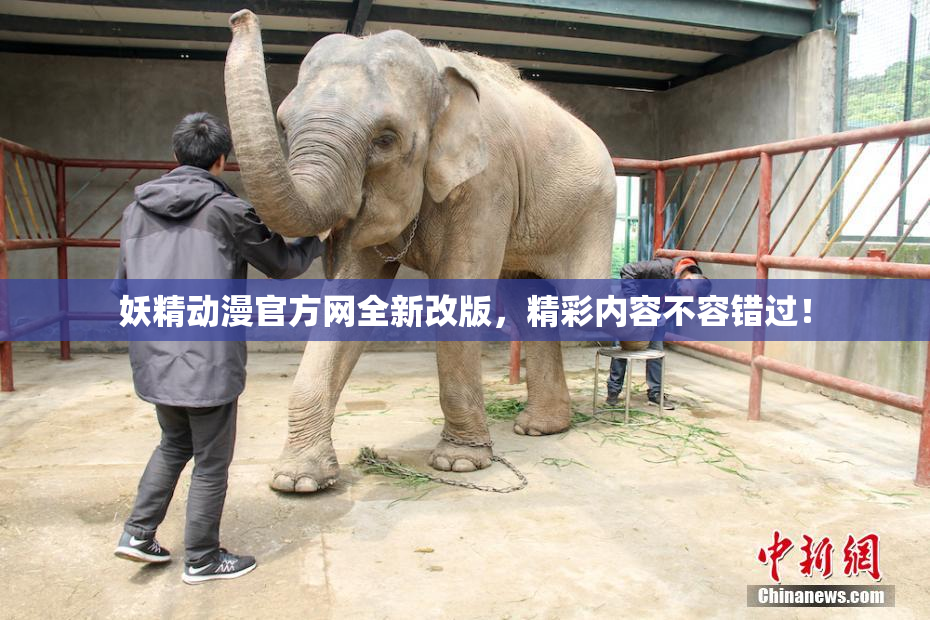 妖精动漫官方网全新改版，精彩内容不容错过！