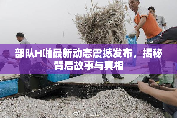 部队H啪最新动态震撼发布，揭秘背后故事与真相