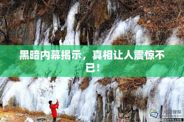 黑暗内幕揭示，真相让人震惊不已！