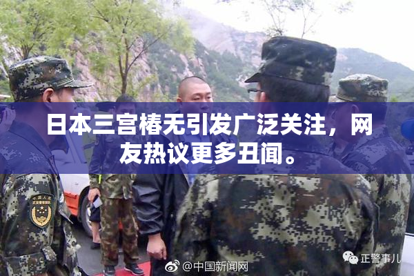 日本三宫椿无引发广泛关注，网友热议更多丑闻。