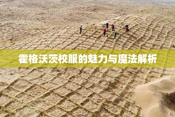 霍格沃茨校服的魅力与魔法解析