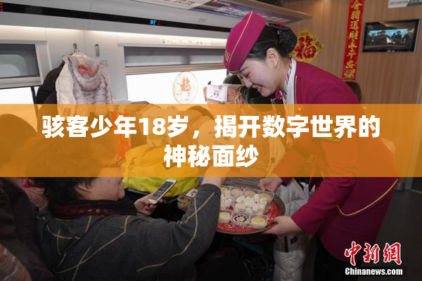 骇客少年18岁，揭开数字世界的神秘面纱