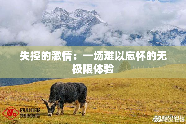 失控的激情：一场难以忘怀的无极限体验