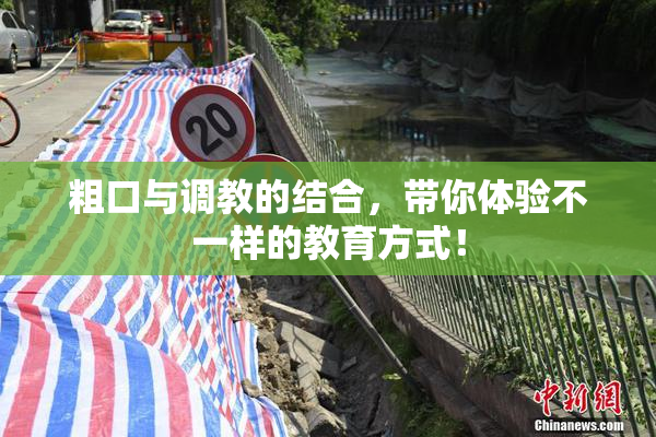 粗口与调教的结合，带你体验不一样的教育方式！