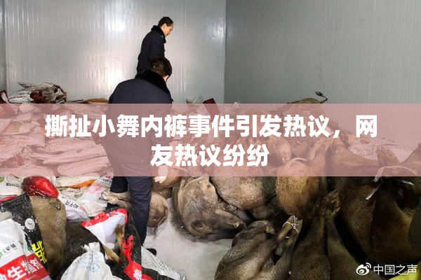 撕扯小舞内裤事件引发热议，网友热议纷纷