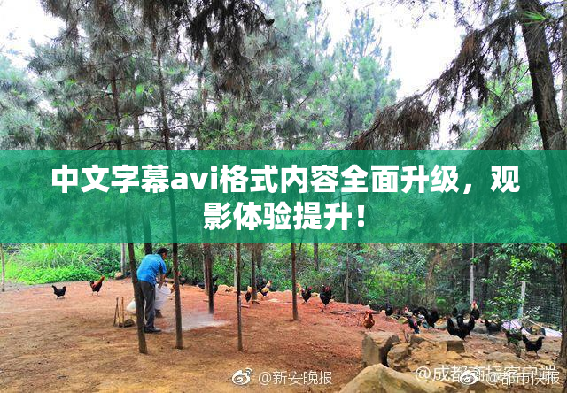 中文字幕avi格式内容全面升级，观影体验提升！