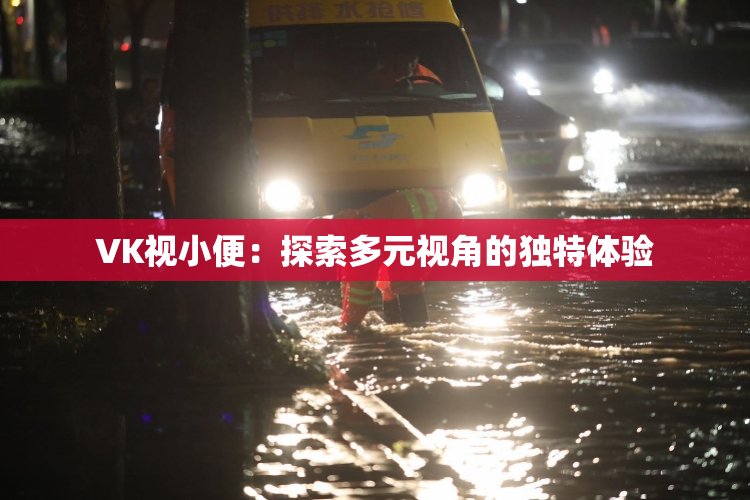 VK视小便：探索多元视角的独特体验