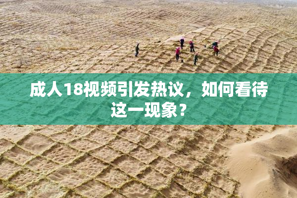 成人18视频引发热议，如何看待这一现象？