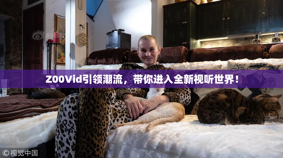 Z00Vid引领潮流，带你进入全新视听世界！