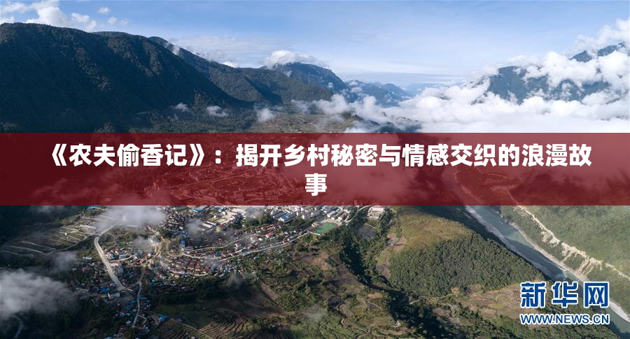 《农夫偷香记》：揭开乡村秘密与情感交织的浪漫故事