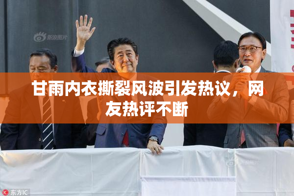 甘雨内衣撕裂风波引发热议，网友热评不断