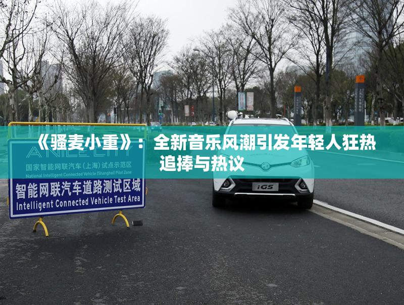 《骚麦小重》：全新音乐风潮引发年轻人狂热追捧与热议