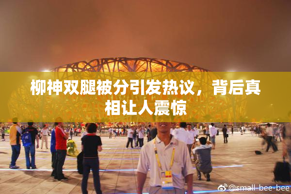柳神双腿被分引发热议，背后真相让人震惊